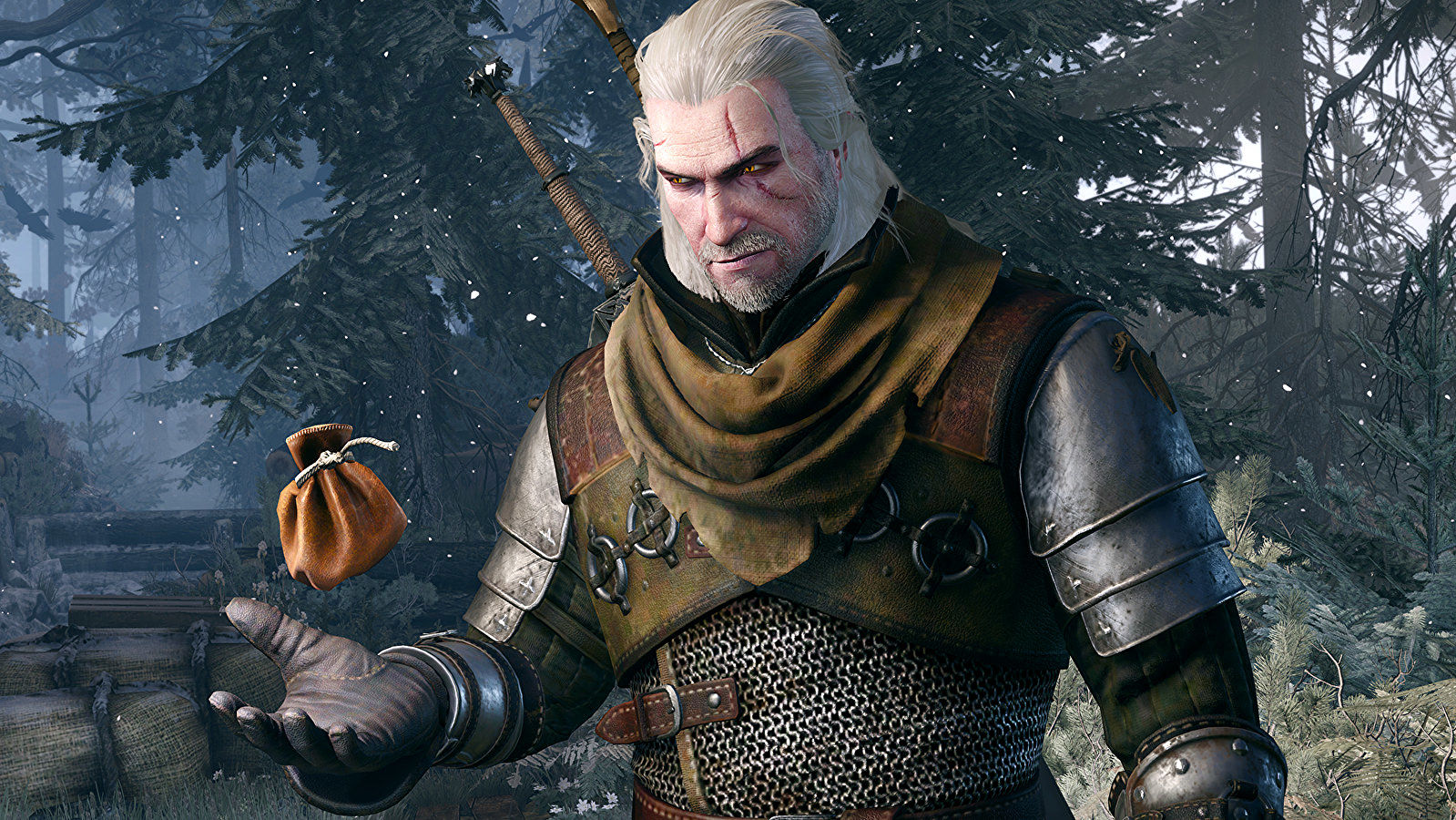 the-witcher-3's-gwent-is-spawning-another-singleplayer-standalone-game