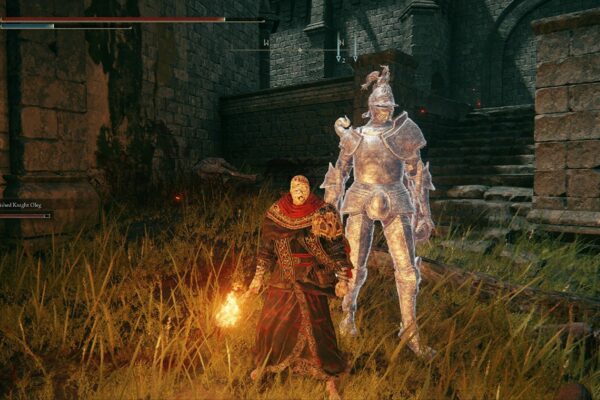 elden-ring-seamless-co-op-mod-lets-you-play-the-entire-game-with-a-friend