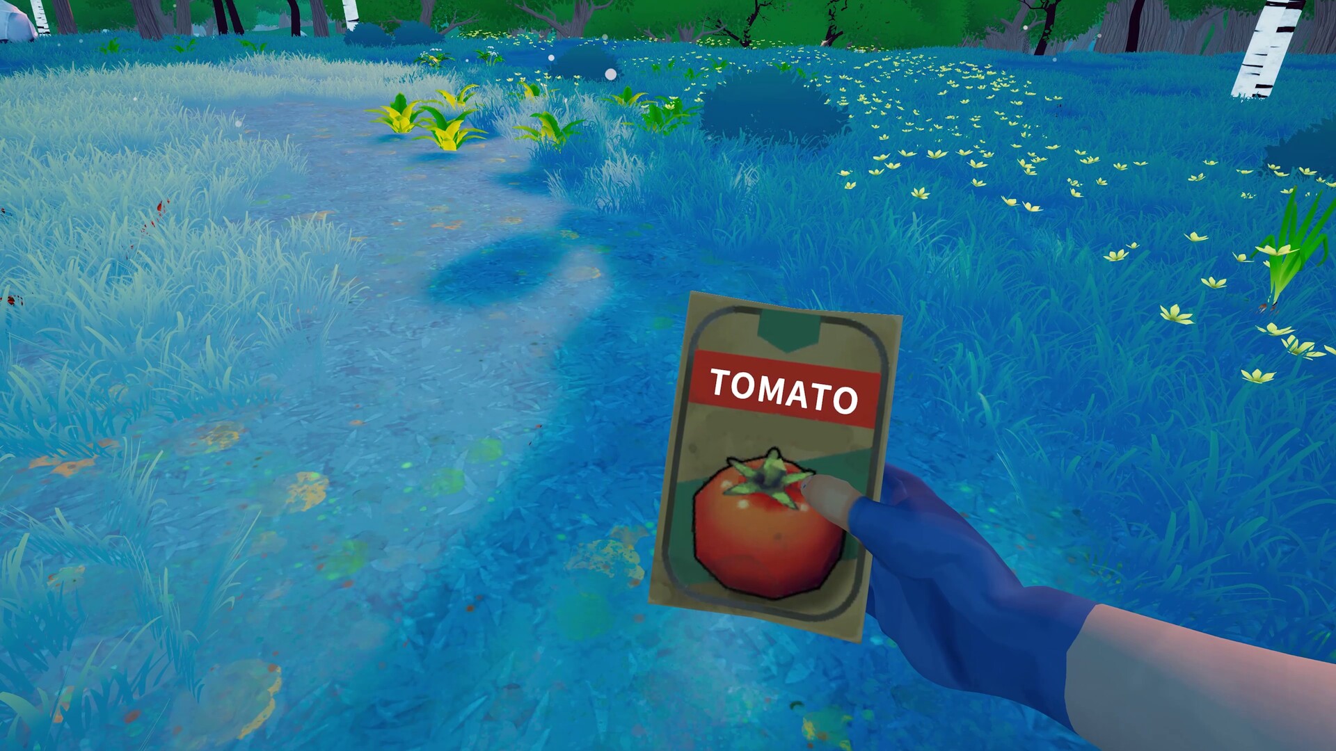 Under Canopies — holding a packet of tomato seeds in a flower-strewn meadow under cool evening light